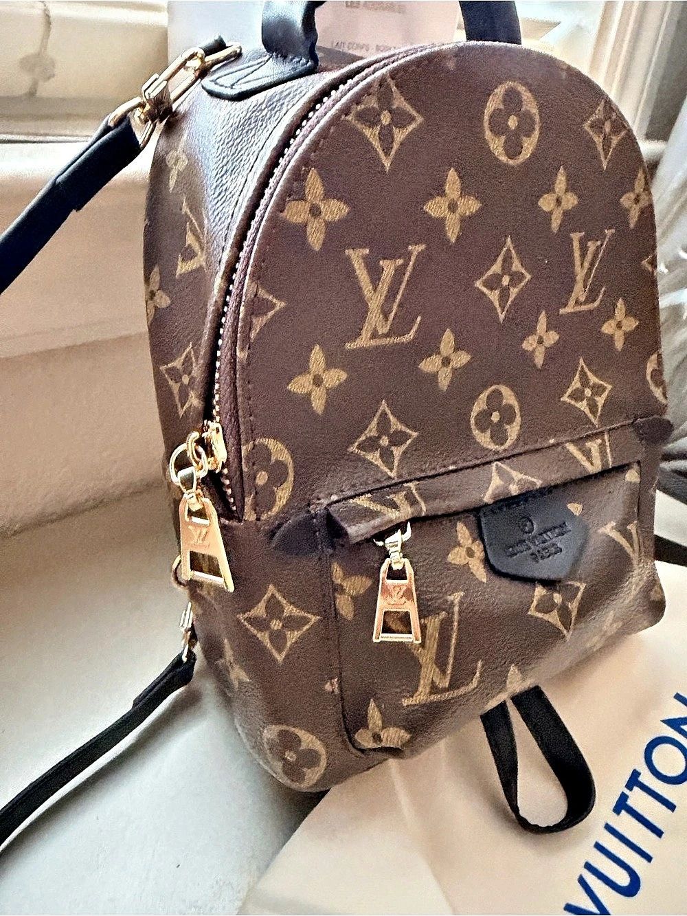 Monogram Palm Springs Mini Backpack - Picture 2 of 13